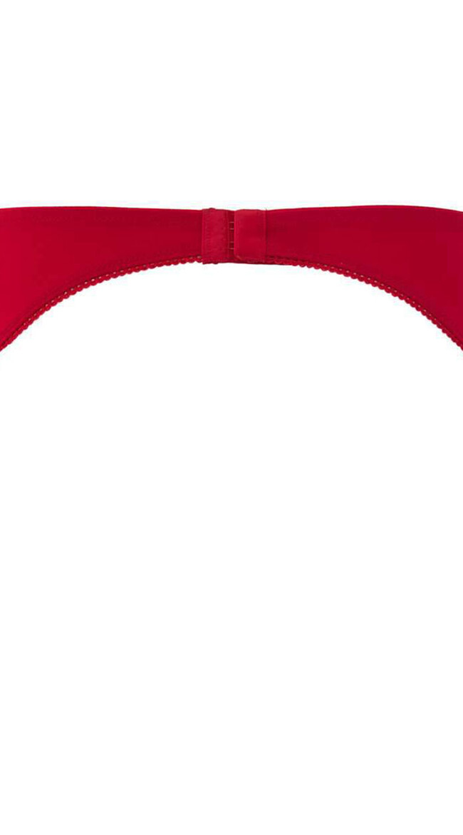 Le Petit Secret Red Suspender Belt