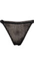 Tease Tanga Brief