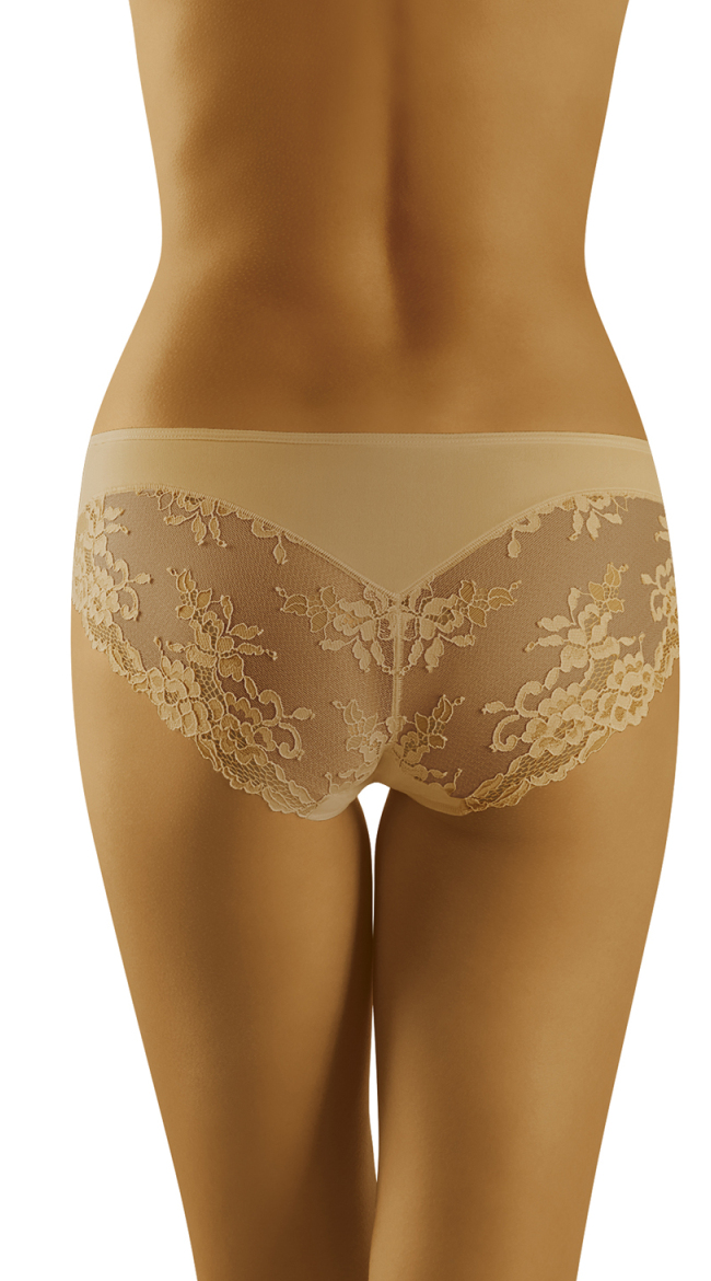 Floral Lace Aria Brief